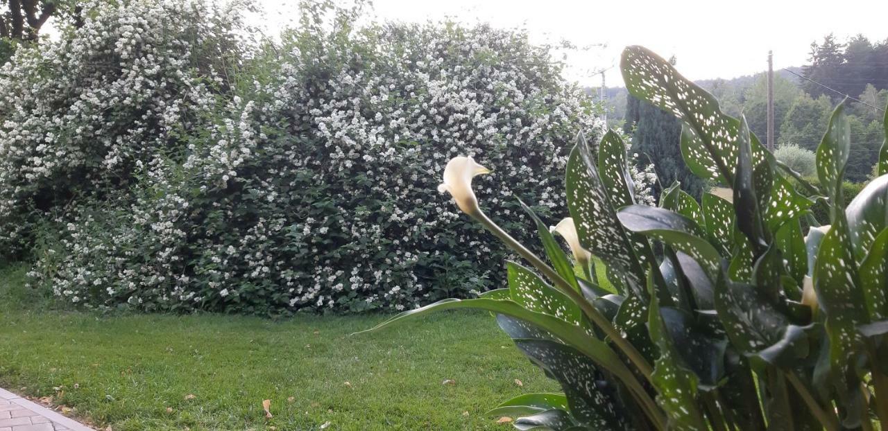 Ubytovani Monika Paseky nad Jizerou Exteriör bild